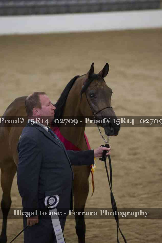 Proof Number 15R14_02709