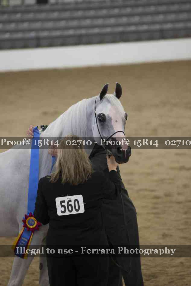 Proof Number 15R14_02710