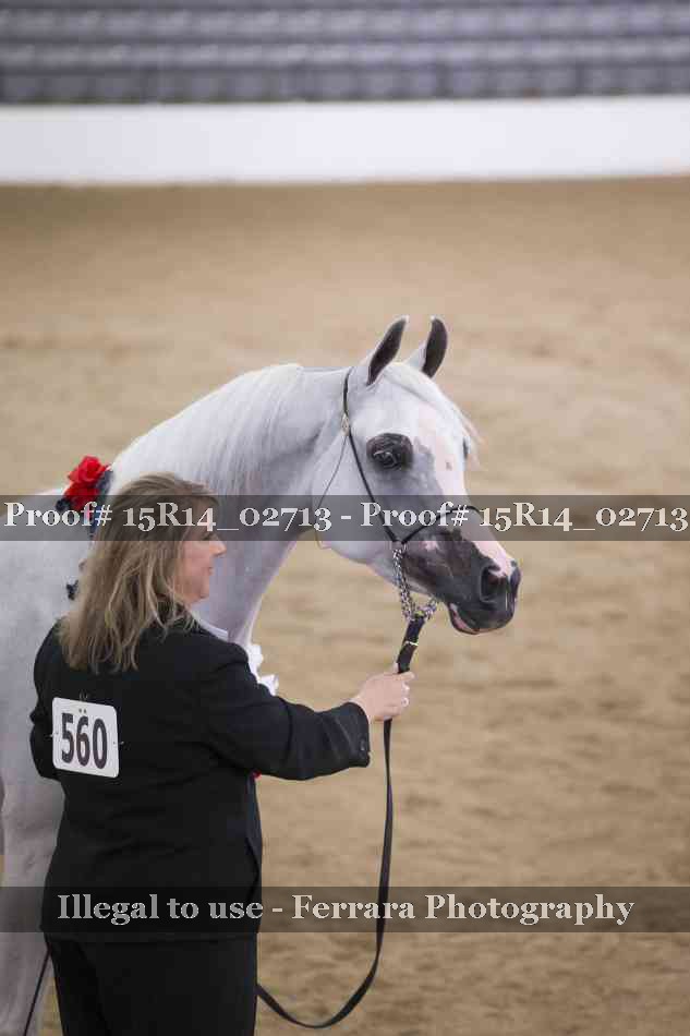 Proof Number 15R14_02713