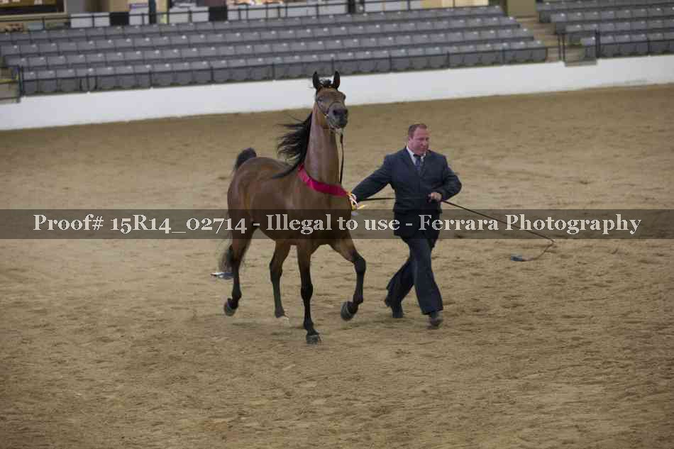 Proof Number 15R14_02714
