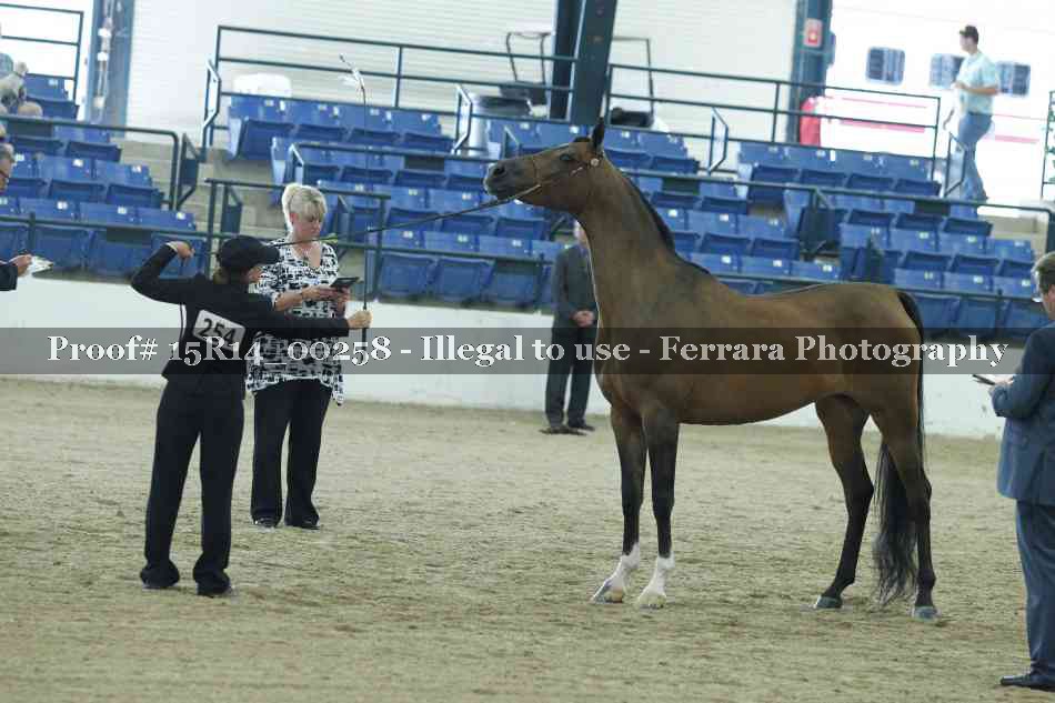 Proof Number 15R14_00258