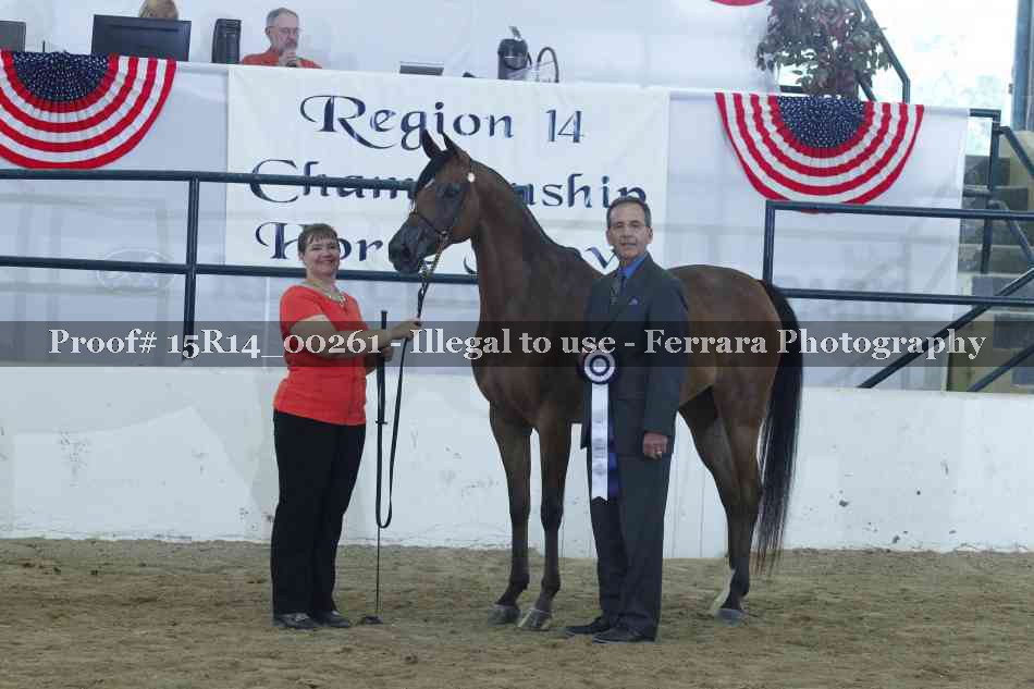 Proof Number 15R14_00261