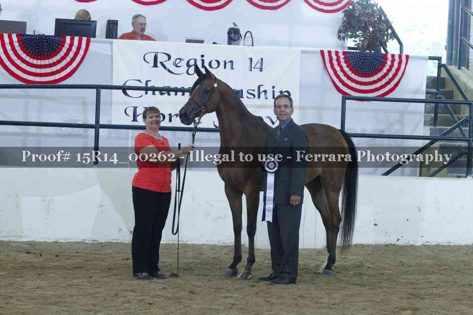 Proof Number 15R14_00262