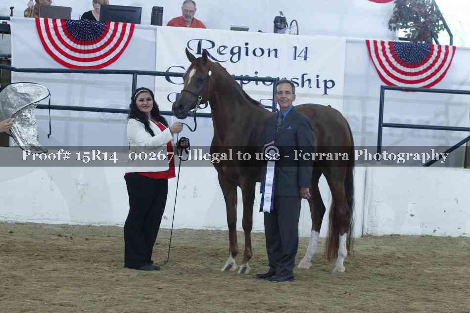 Proof Number 15R14_00267
