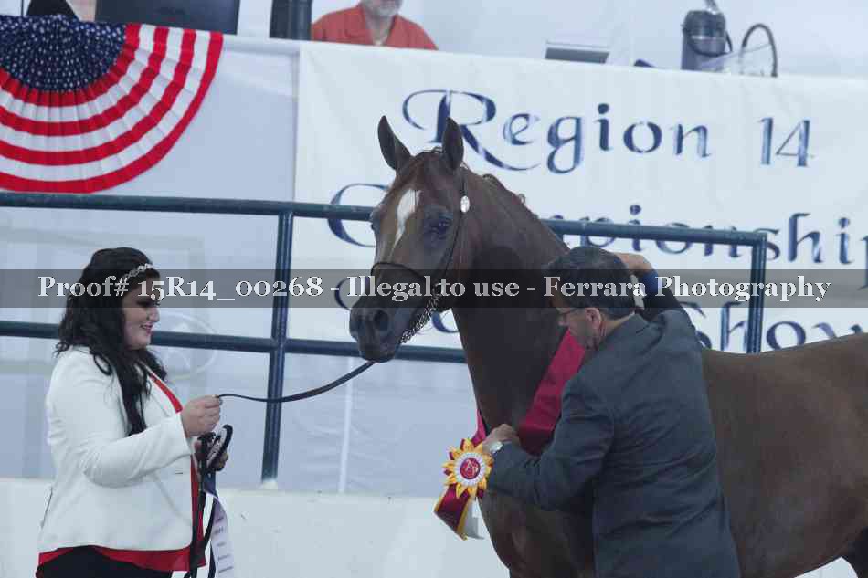 Proof Number 15R14_00268