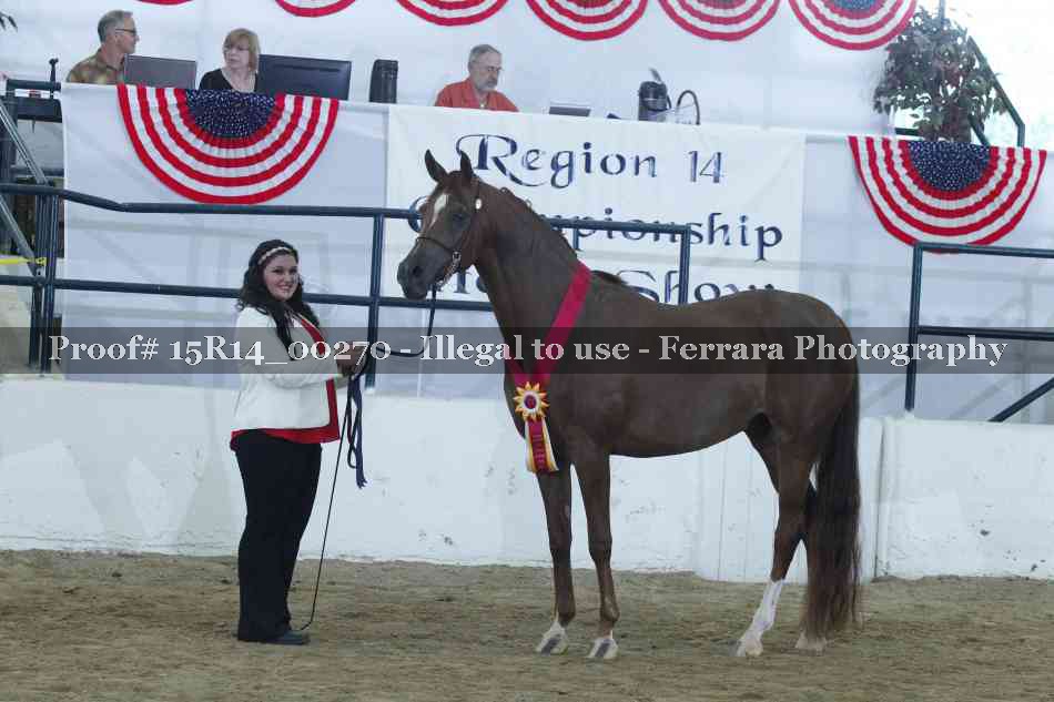 Proof Number 15R14_00270