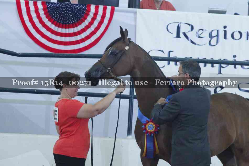 Proof Number 15R14_00271