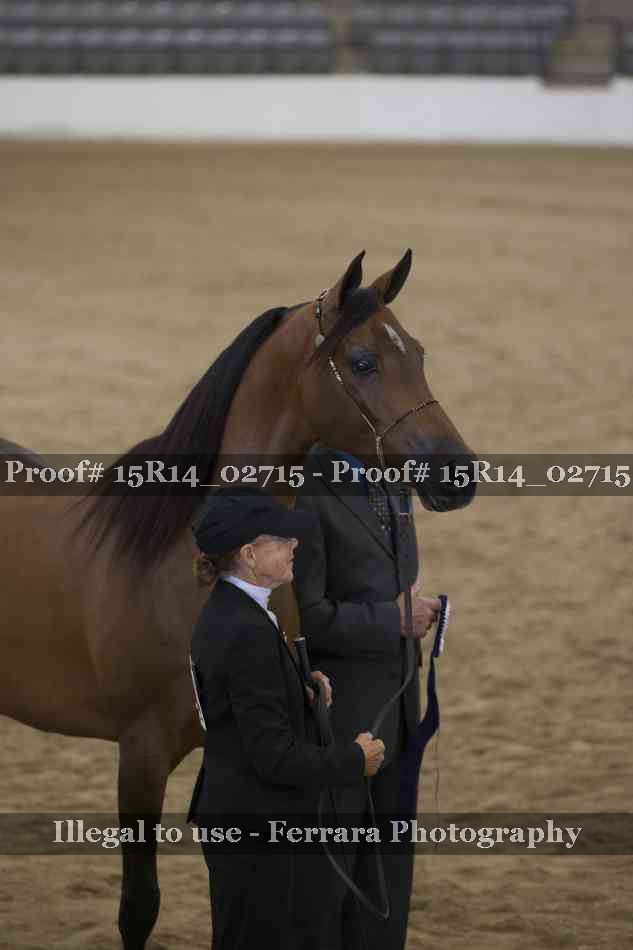 Proof Number 15R14_02715