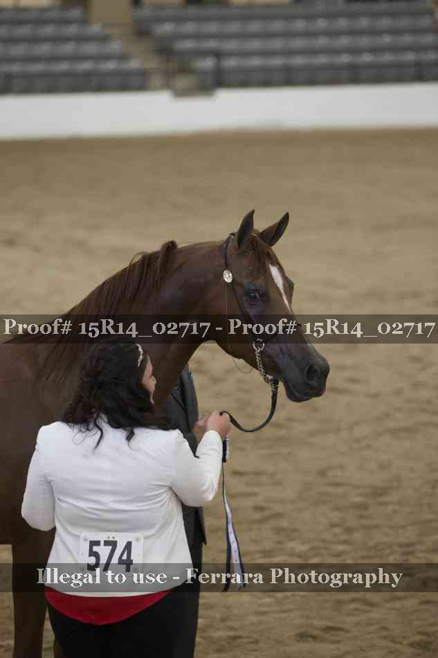 Proof Number 15R14_02717