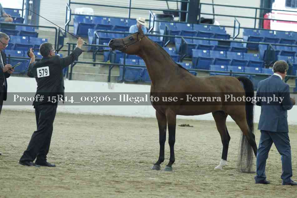 Proof Number 15R14_00306