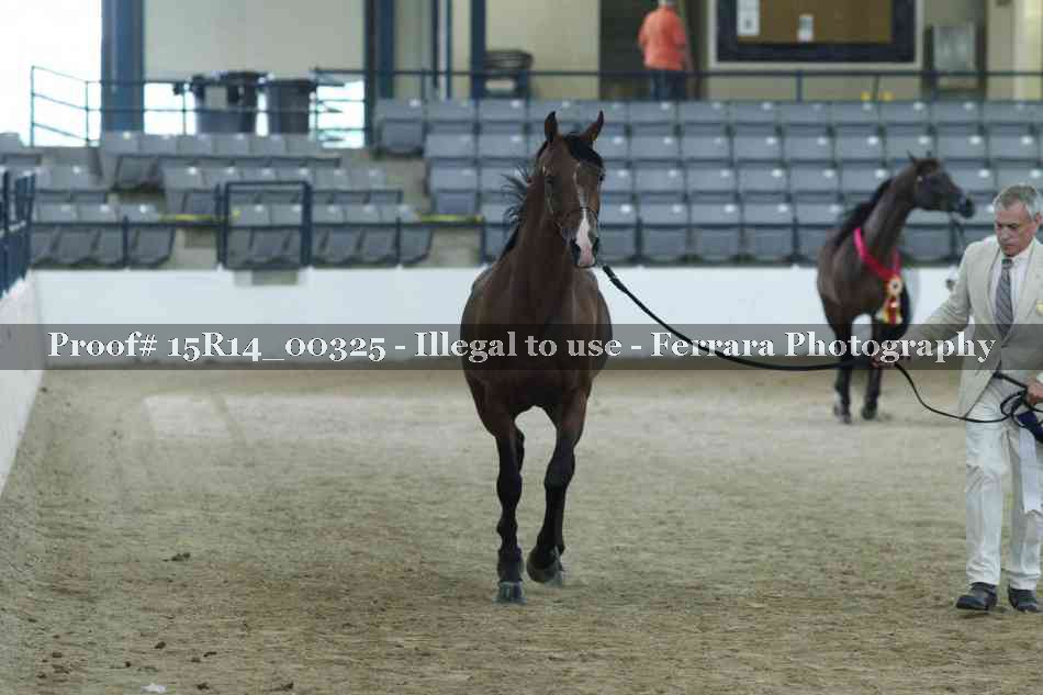 Proof Number 15R14_00325