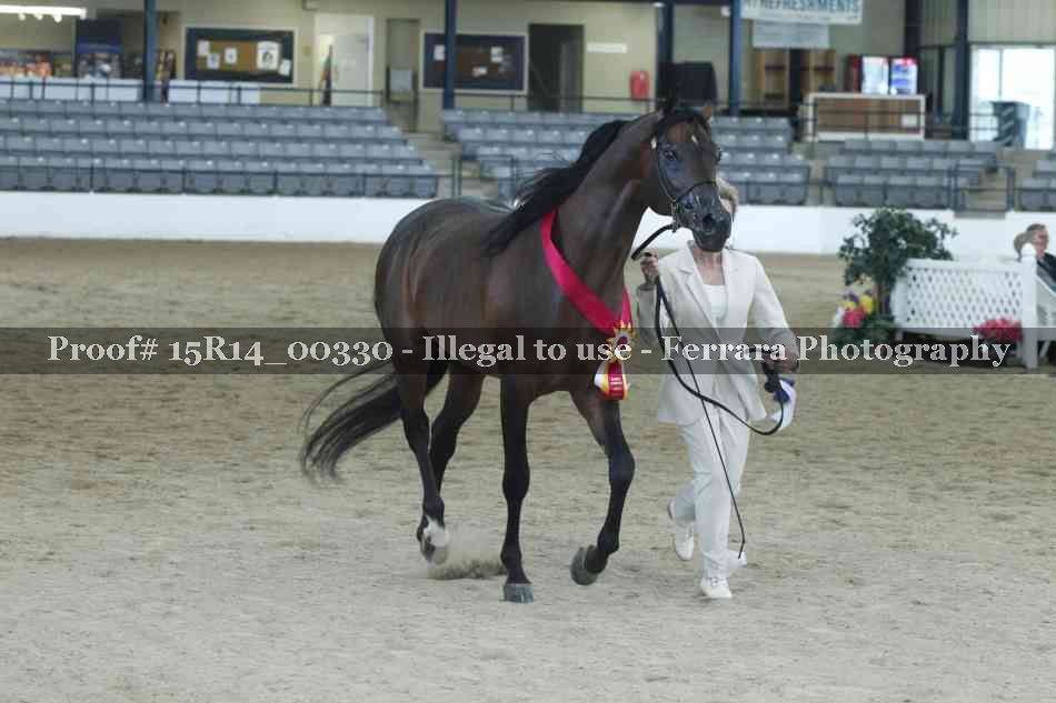 Proof Number 15R14_00330