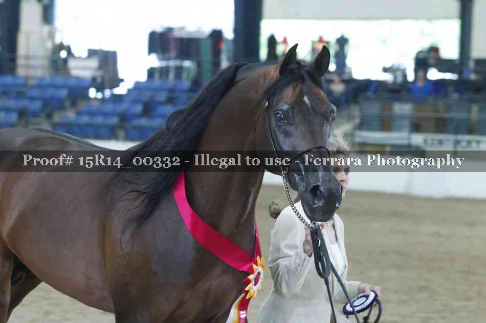 Proof Number 15R14_00332