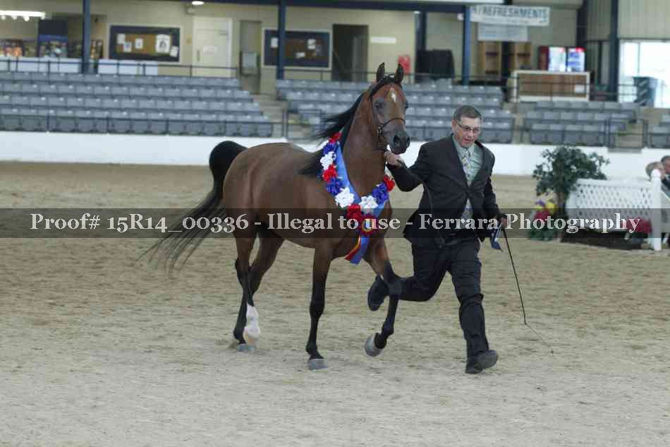 Proof Number 15R14_00336