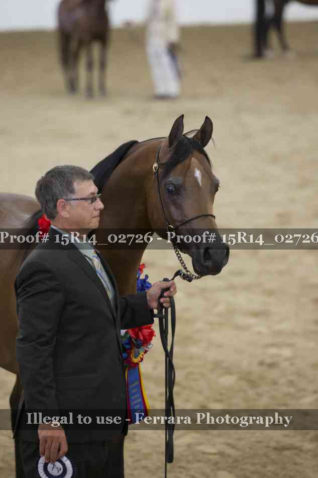 Proof Number 15R14_02726