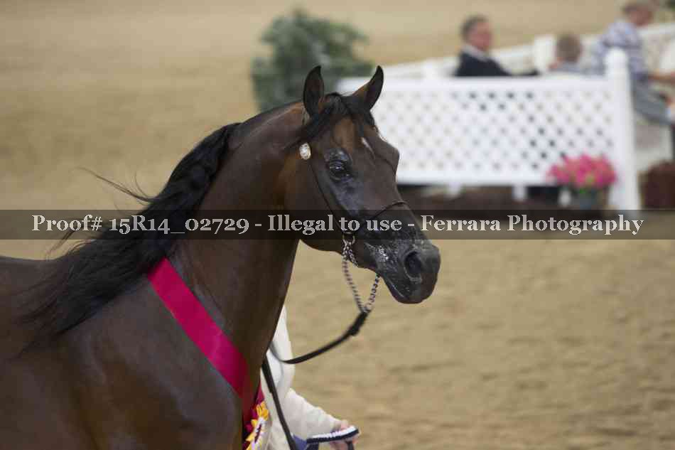 Proof Number 15R14_02729