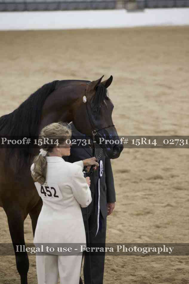 Proof Number 15R14_02731