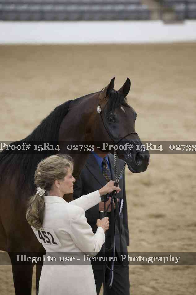 Proof Number 15R14_02733