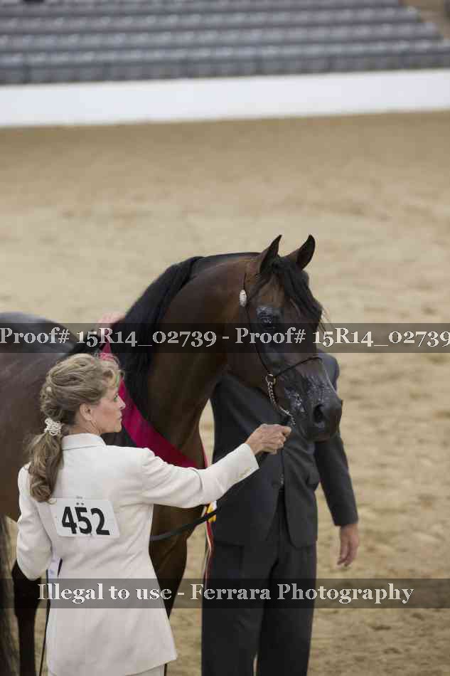 Proof Number 15R14_02739