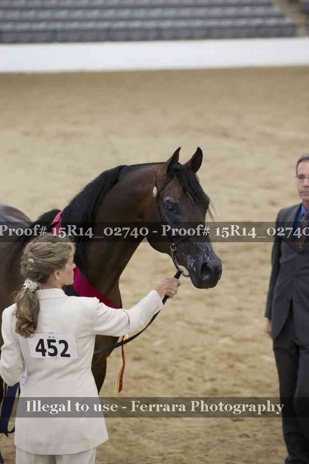 Proof Number 15R14_02740