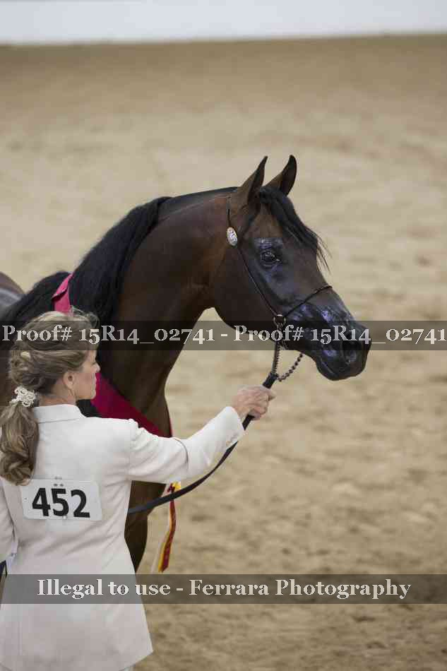 Proof Number 15R14_02741