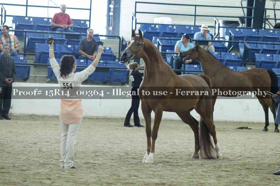 Proof Number 15R14_00364