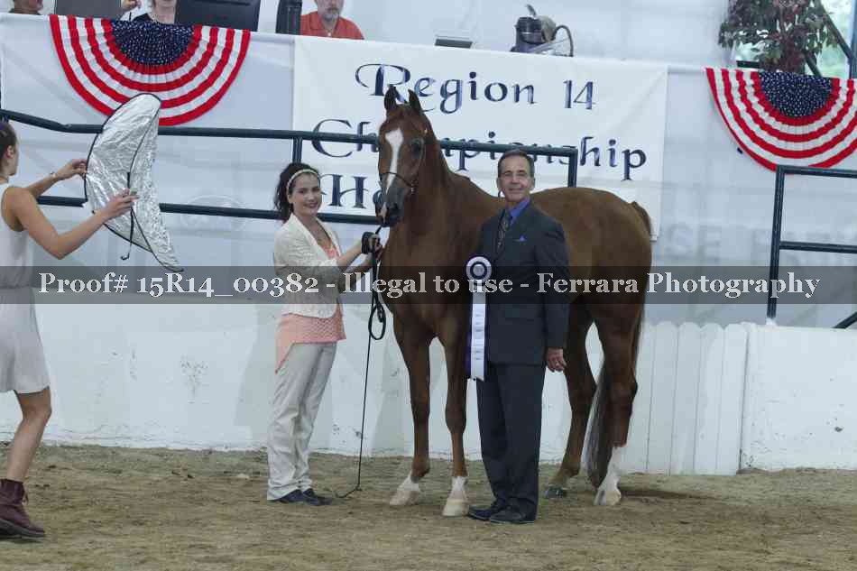 Proof Number 15R14_00382