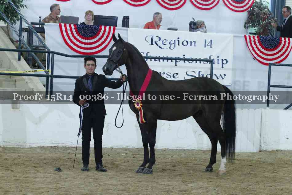 Proof Number 15R14_00386