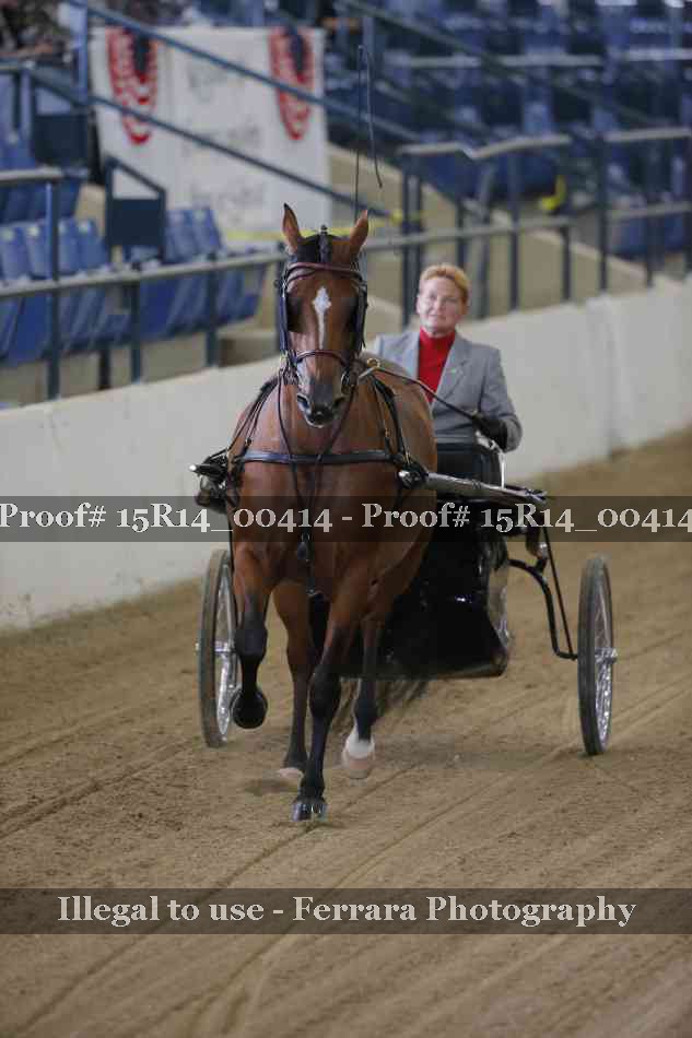 Proof Number 15R14_00414