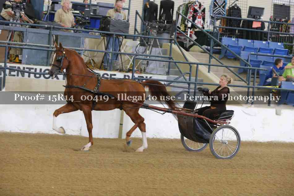 Proof Number 15R14_00419
