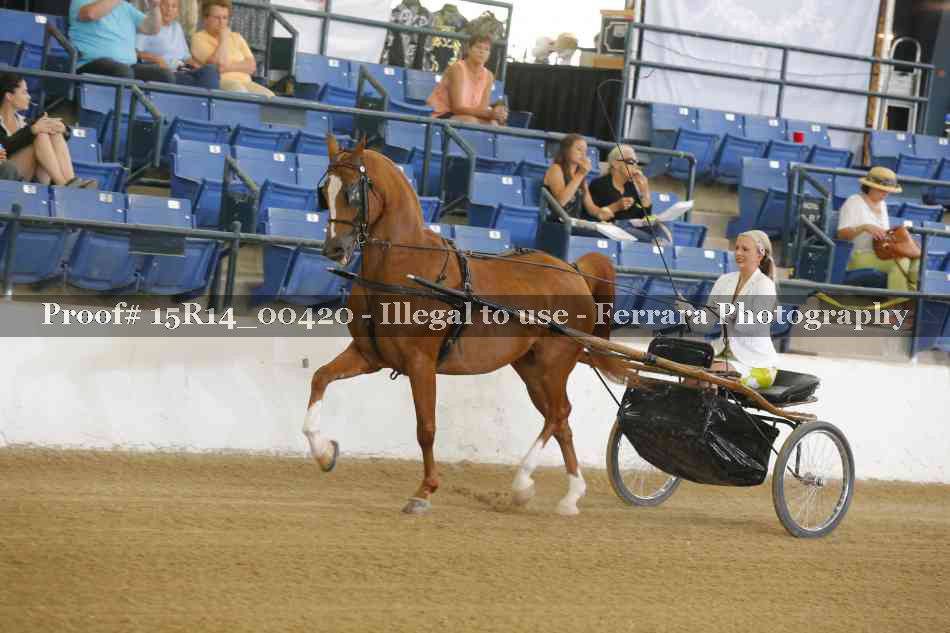 Proof Number 15R14_00420