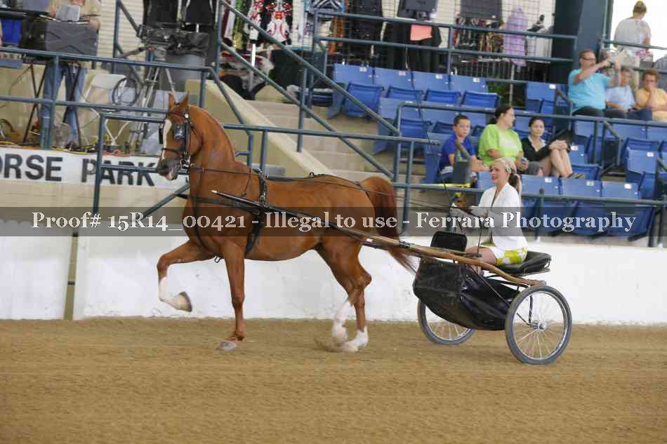 Proof Number 15R14_00421
