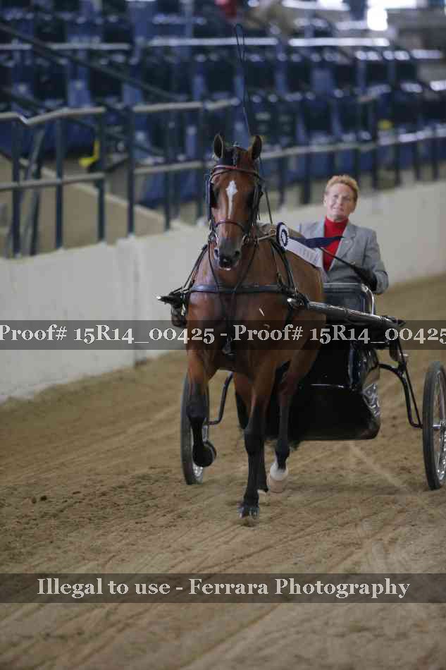 Proof Number 15R14_00425