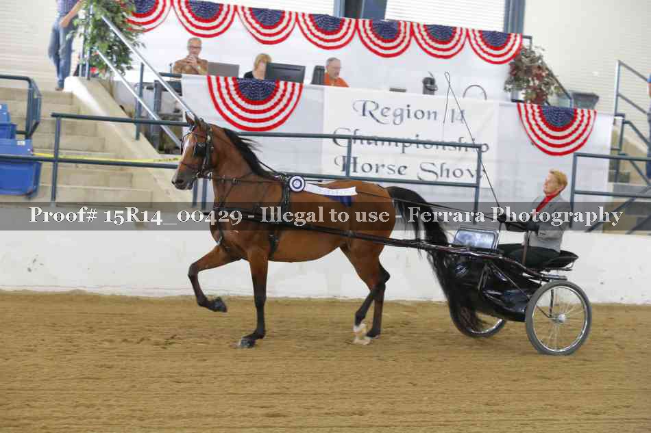 Proof Number 15R14_00429