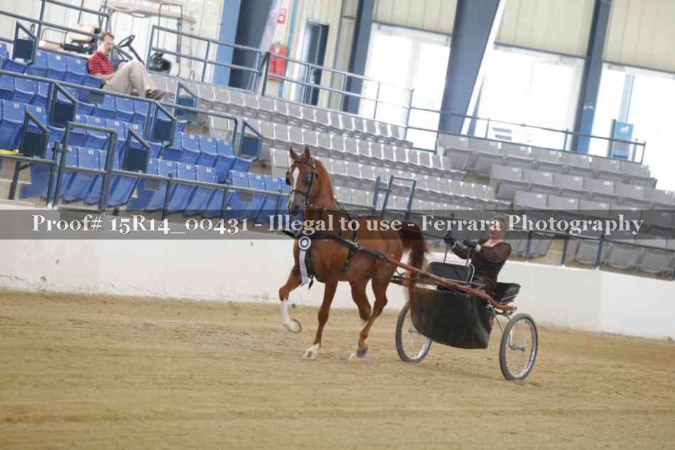Proof Number 15R14_00431