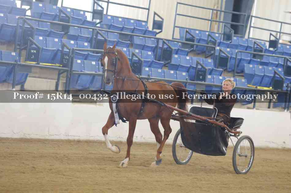 Proof Number 15R14_00432
