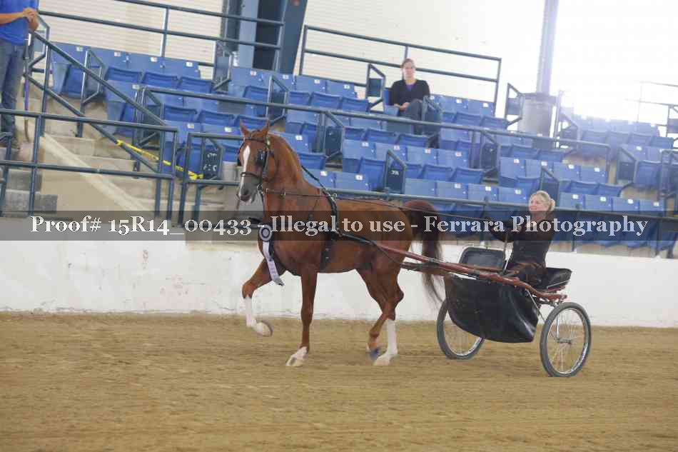 Proof Number 15R14_00433