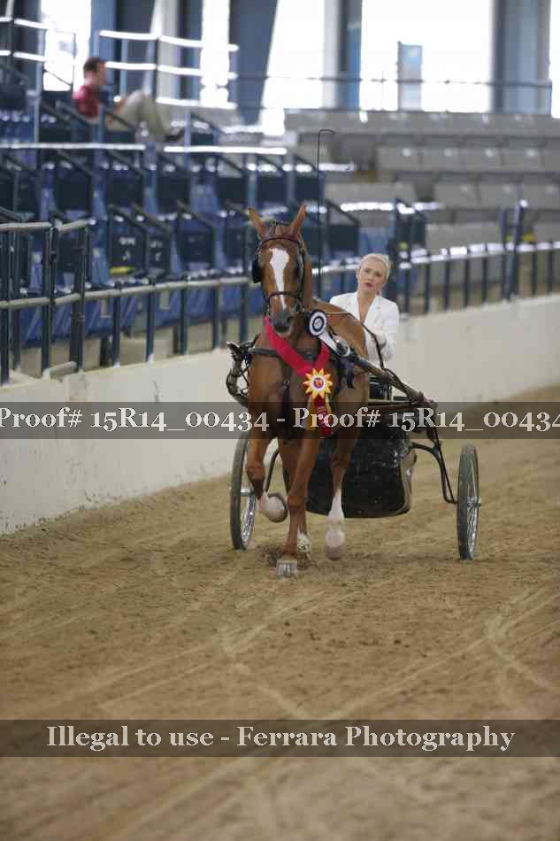 Proof Number 15R14_00434