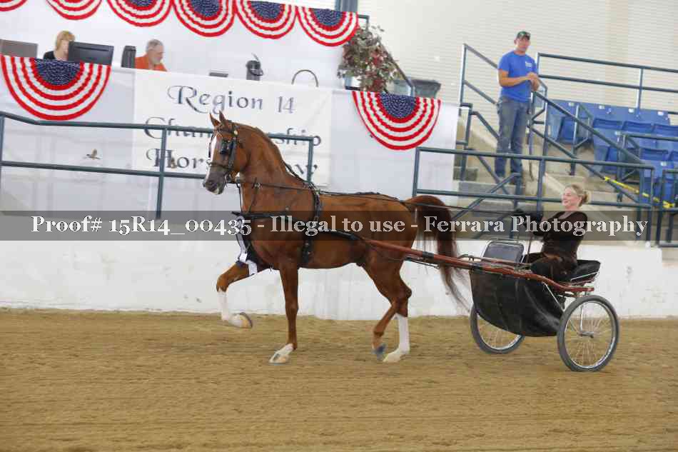 Proof Number 15R14_00435