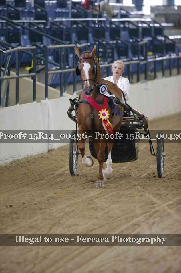 Proof Number 15R14_00436