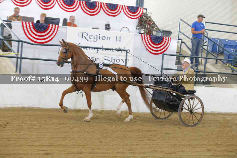 Proof Number 15R14_00439