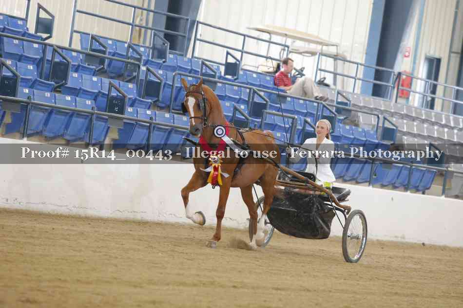 Proof Number 15R14_00443