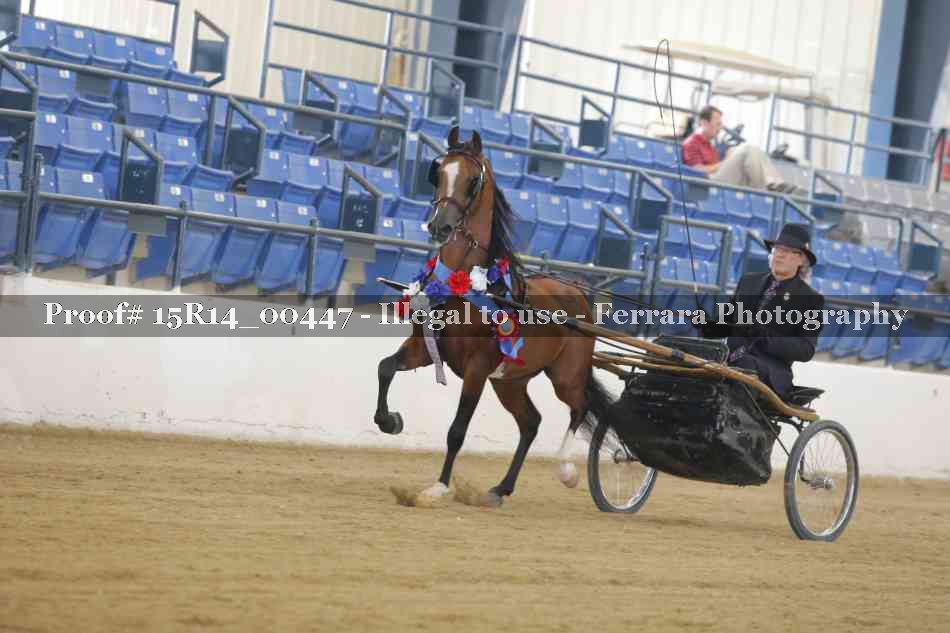 Proof Number 15R14_00447