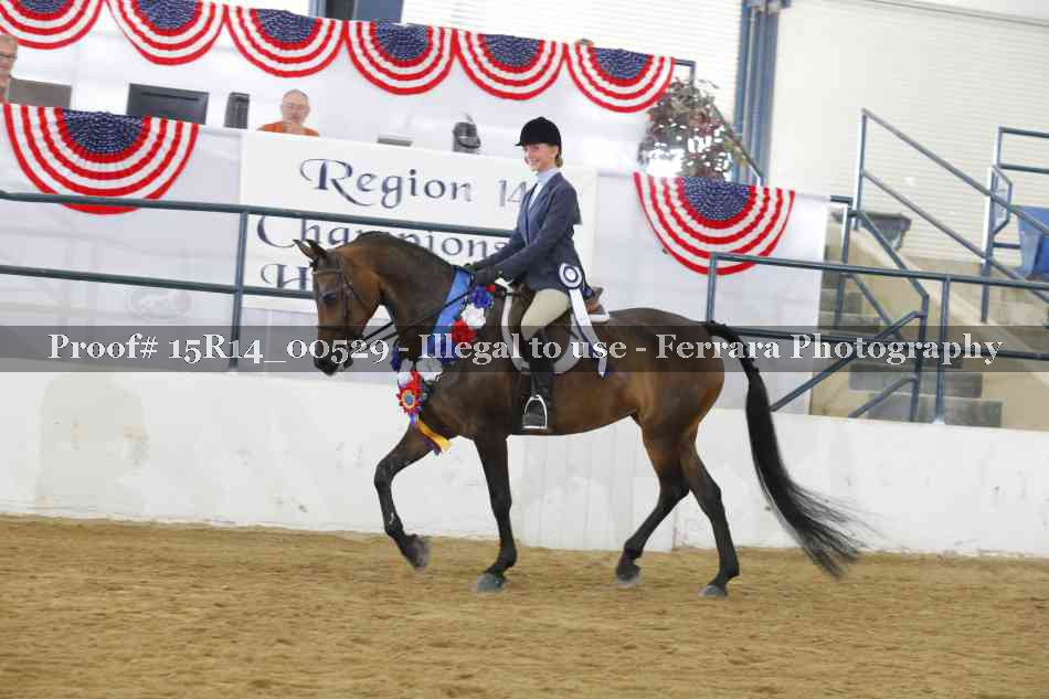 Proof Number 15R14_00529