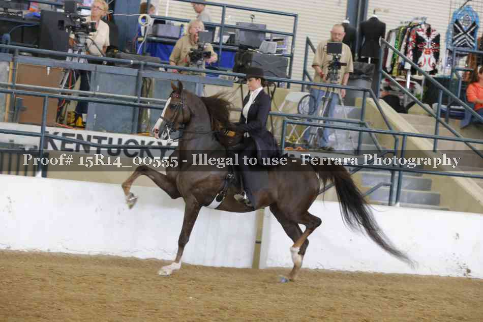 Proof Number 15R14_00555