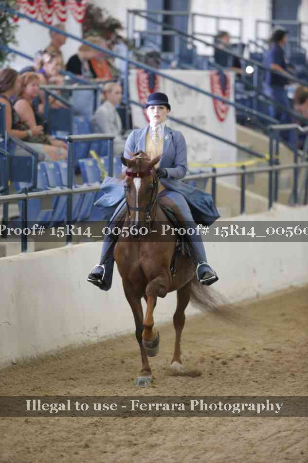 Proof Number 15R14_00560