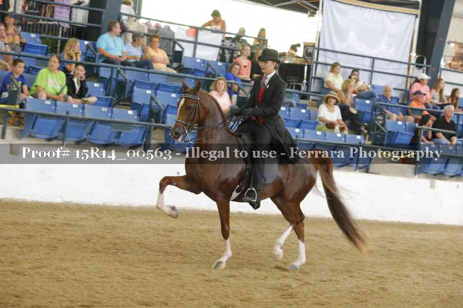 Proof Number 15R14_00563