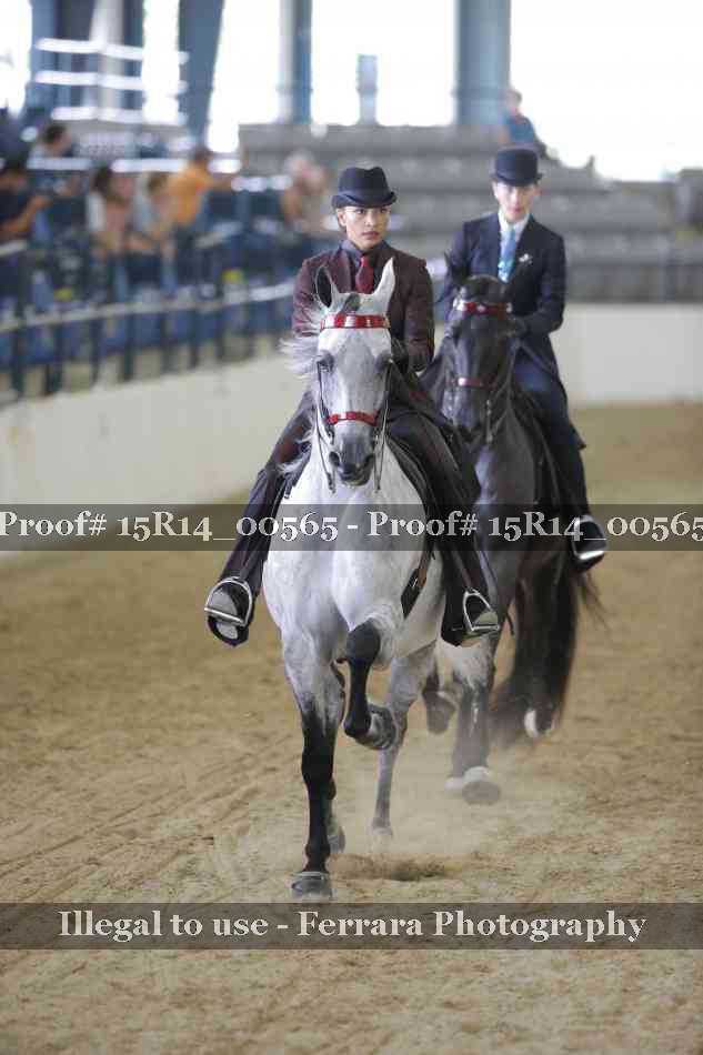 Proof Number 15R14_00565