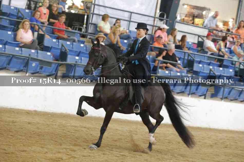 Proof Number 15R14_00566