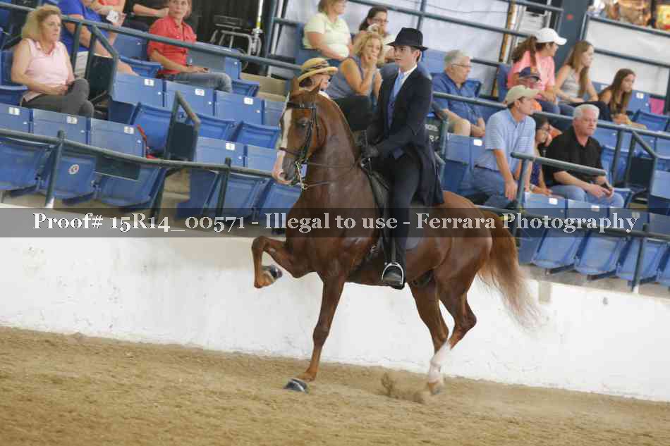 Proof Number 15R14_00571